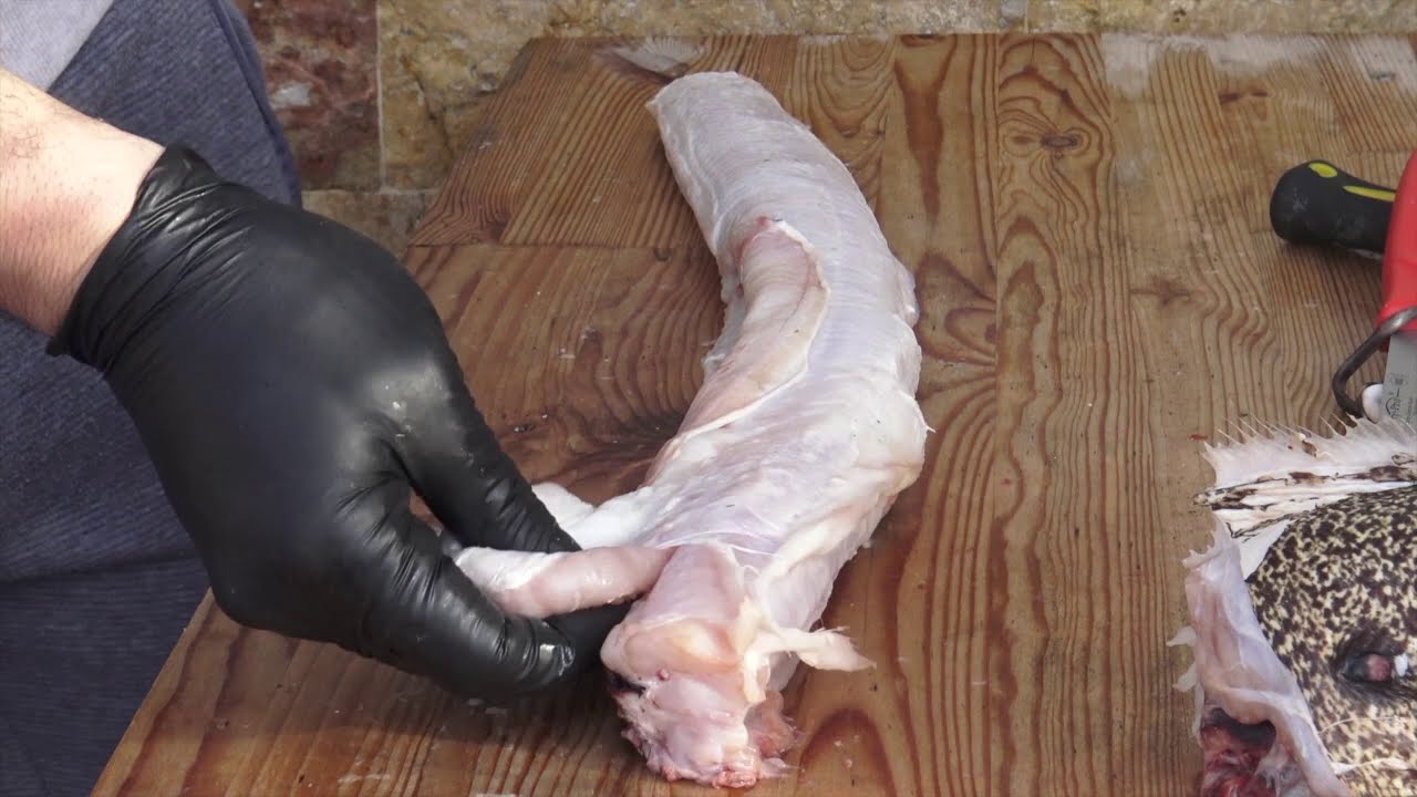 moray eel cutting!!!  /  καθάρισμα σμέρνας