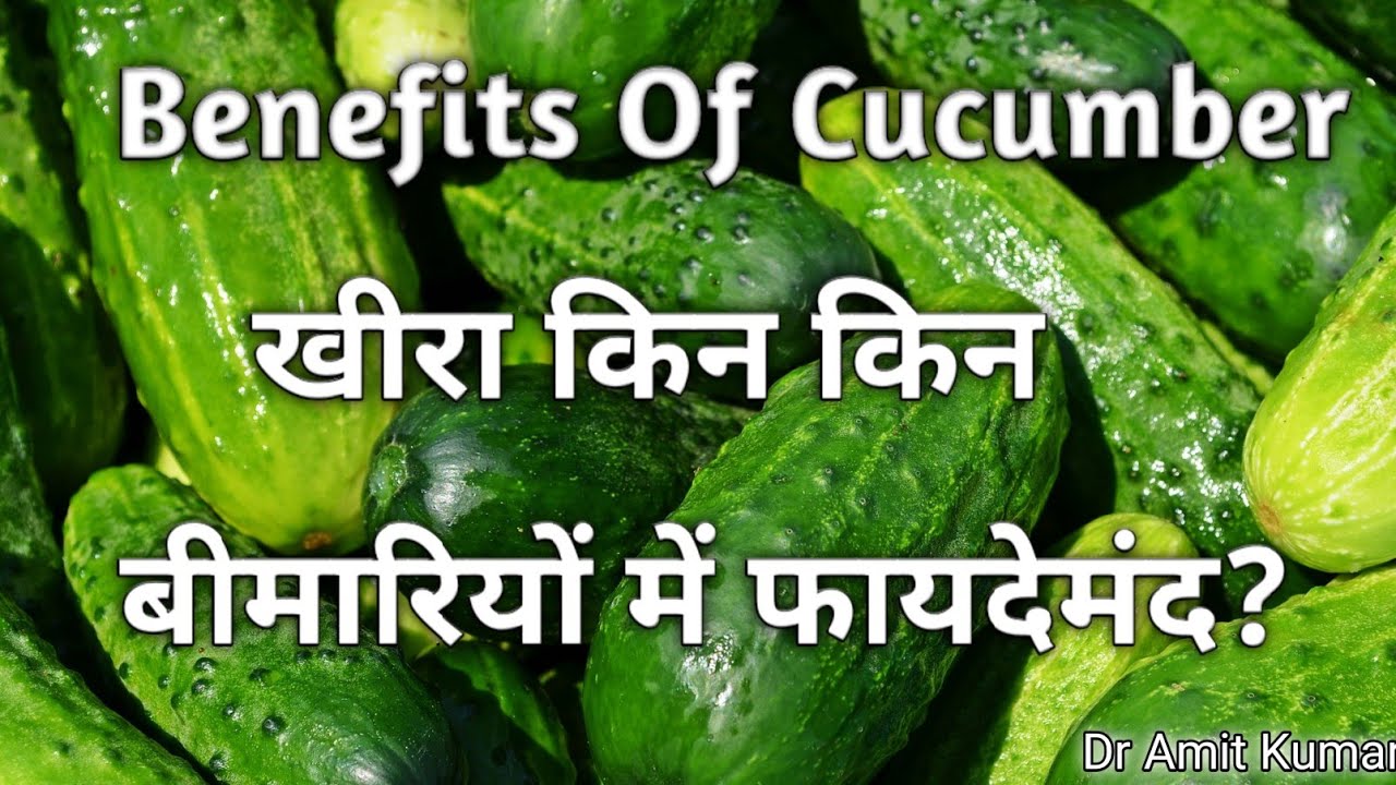 Benefits Of Cucumber | खीरा किन किन बीमारियों में फायदेमंद? खीरा के फायदे।
