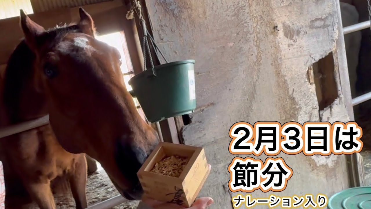 ２月3日は節分　ナレーション入り　#引退馬　#horse 　#なみあし会　#おやつ