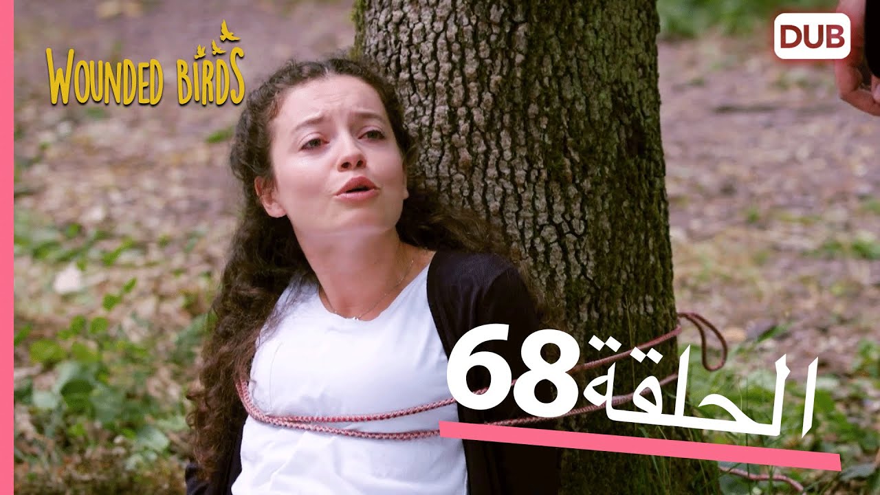 الطيور الجريحة | الحلقة الكاملة 68 |  مدبلج عربي