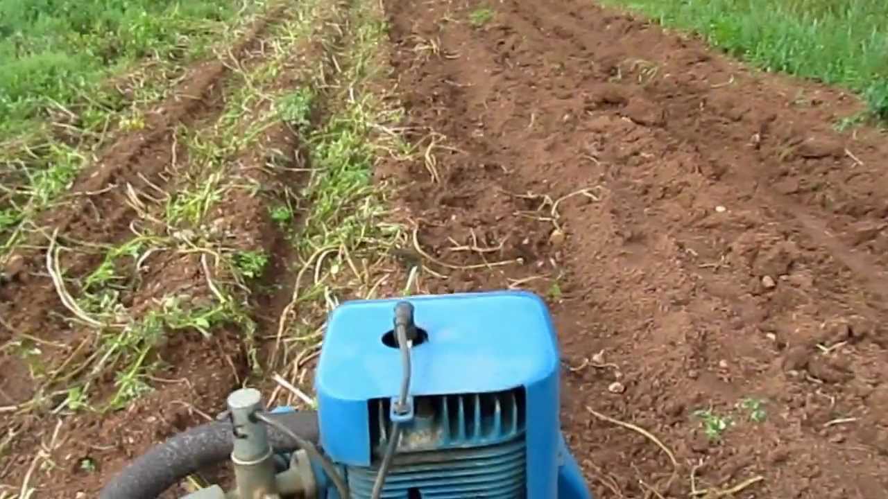 Ransomes MG5 Crawler and our Potatoes 2011