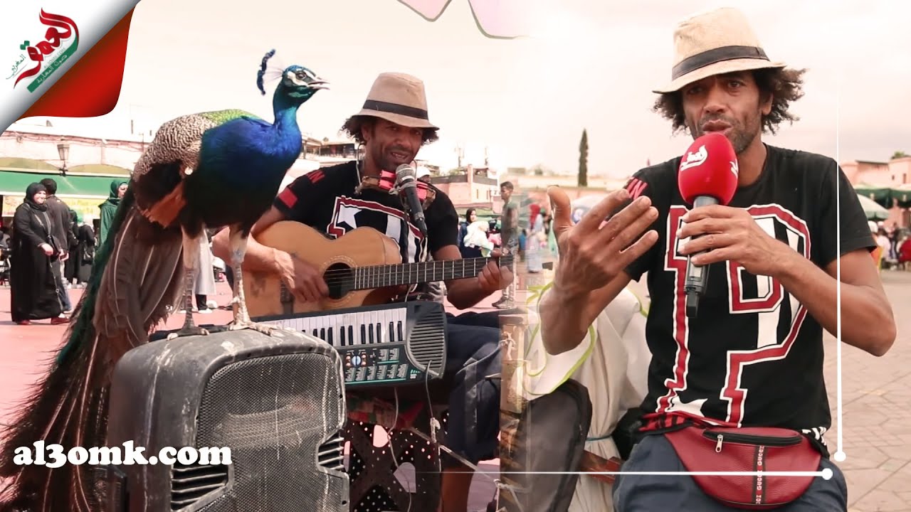 شاب غريب يلهب ساحة جامع الفنا بالعزف على العديد من الآلات في آن واحد مع غناء الغربي والعربي والمغربي