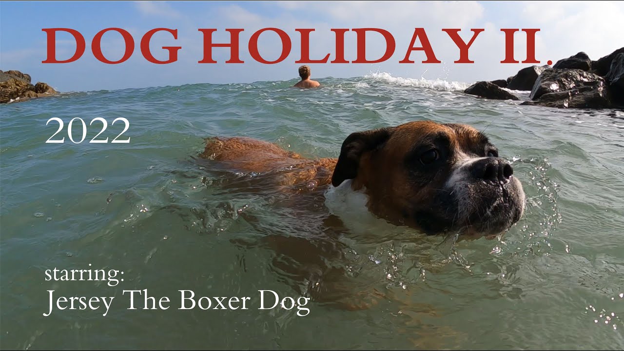 DOG HOLIDAY II. - dovolená pod (pro) psa II. aneb sliby se mají plnit i psovi :-) Itálie / Lignano