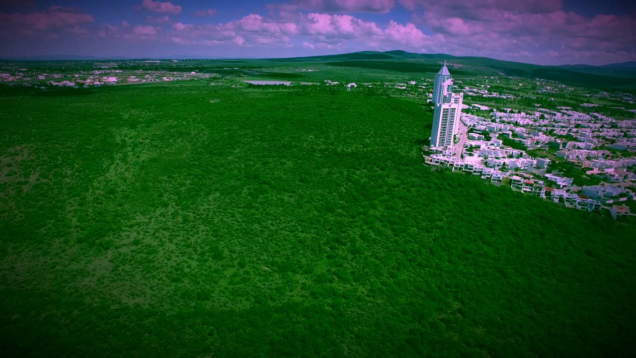Gran jard&iacute;n, Le&oacute;n