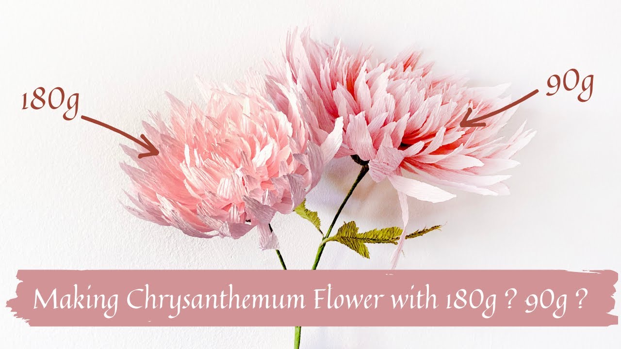 COMPARING 180G & 90G CREPE PAPER for making CHRYSANTHEMUM FLOWER | PAPER FLOWER 101