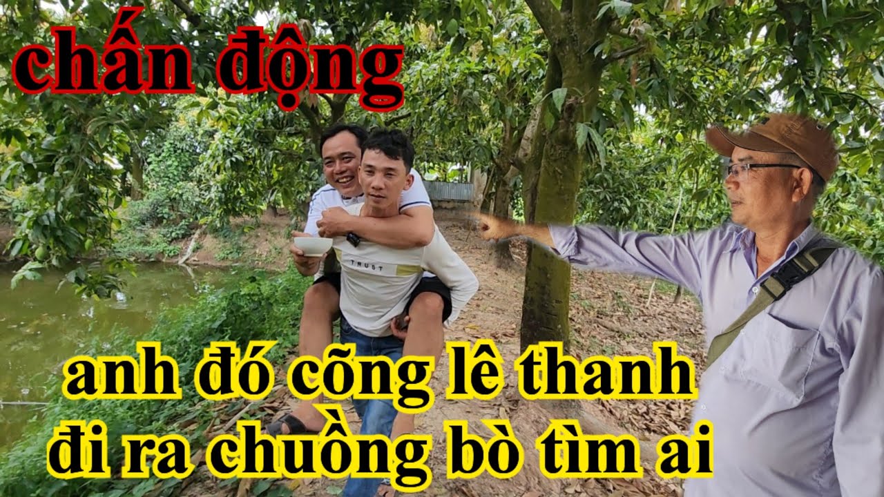 Chấn động bắt gặp anh đó cõng lê thanh ra chuồng bò tìm ai