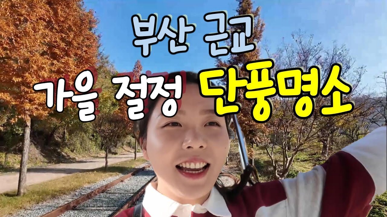 순삭가을 🍁 지금 당장! 달려가야 하는 부산 근교 단풍 명소 - 청도 레일 바이크