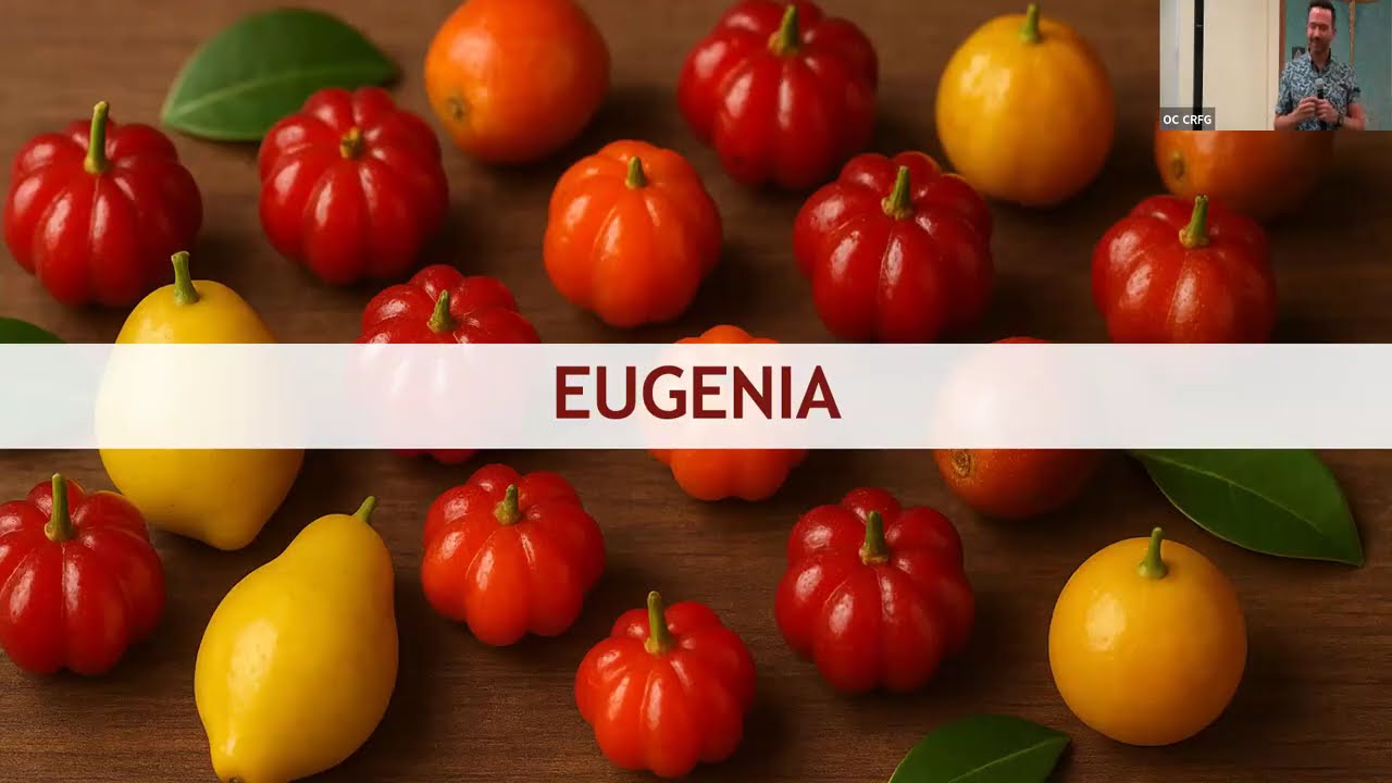 Rare Fruits: Eugenia for SoCal - Kelly Gabrysch