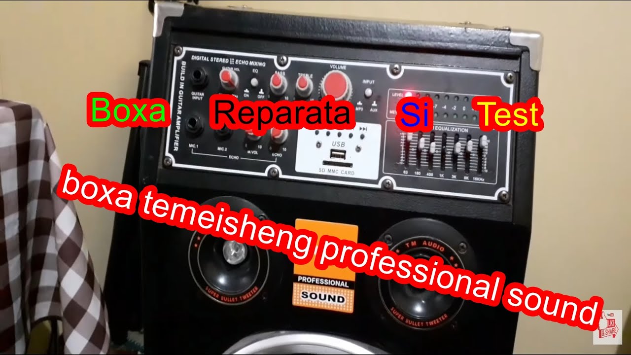 Boxă temeisheng  sound. Reparată + Probă și alte detalii despre boxă !
