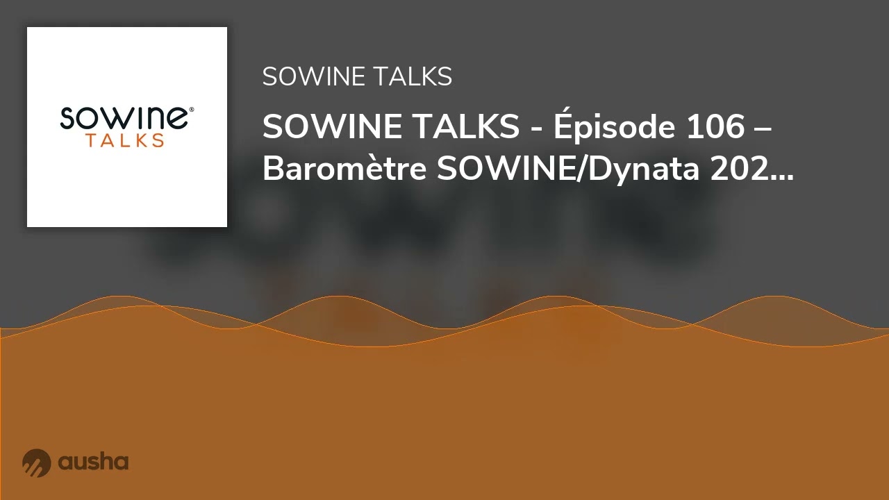 SOWINE TALKS - Épisode 106 – Baromètre SOWINE/Dynata 2025 :  les Français et le digital avec Sylvain
