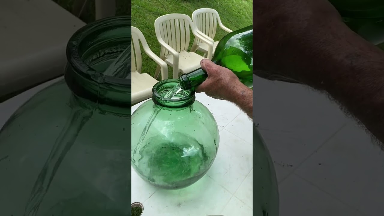 COMMENT ON PRÉPARE LA DÉLICIEUSE SAPINETTE !
