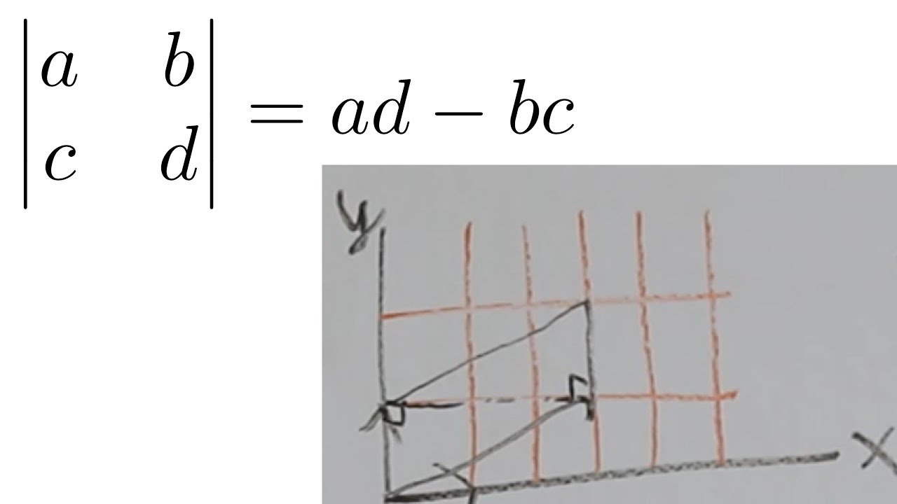 3: Determinant Formula Intuition - Valuable Vector Calculus
