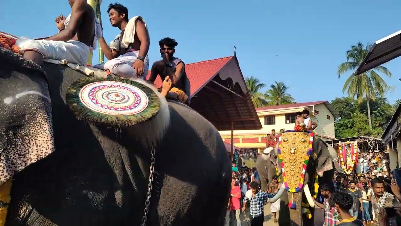 Kunissery Kummatti #festival #elephant #kerala #palakkad #kunissery #kummatti