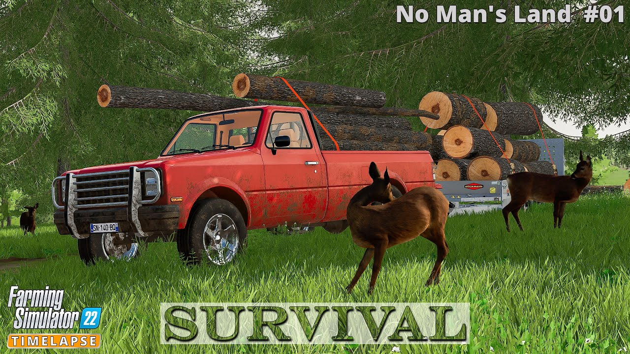 СОВЕРШЕННО НОВОЕ НАЧАЛО в No Man's Land 22 только с бензопилой и машиной🔸Farming Simulator 22🔸4K