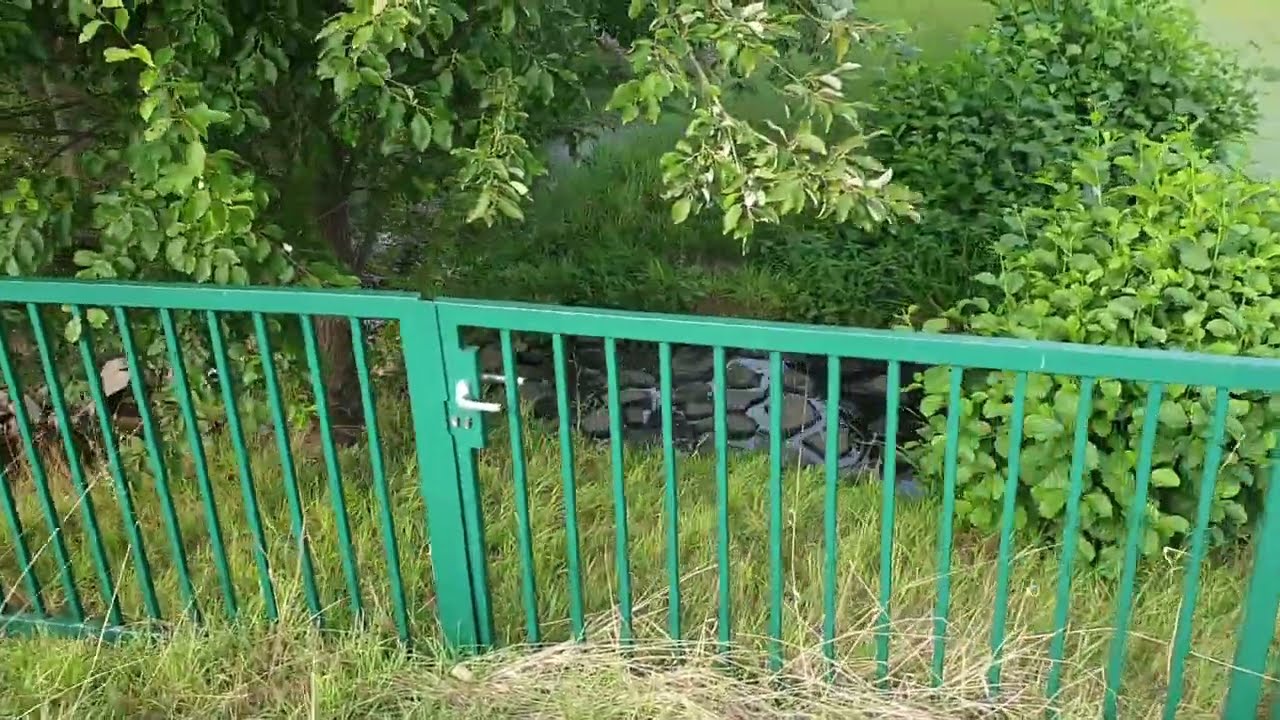 Schwarzbach - Waltrop / Datteln - Ex Köttelbecke - Quelle bis Kläranlage Waltrop - Teil 1 - 12.09.22