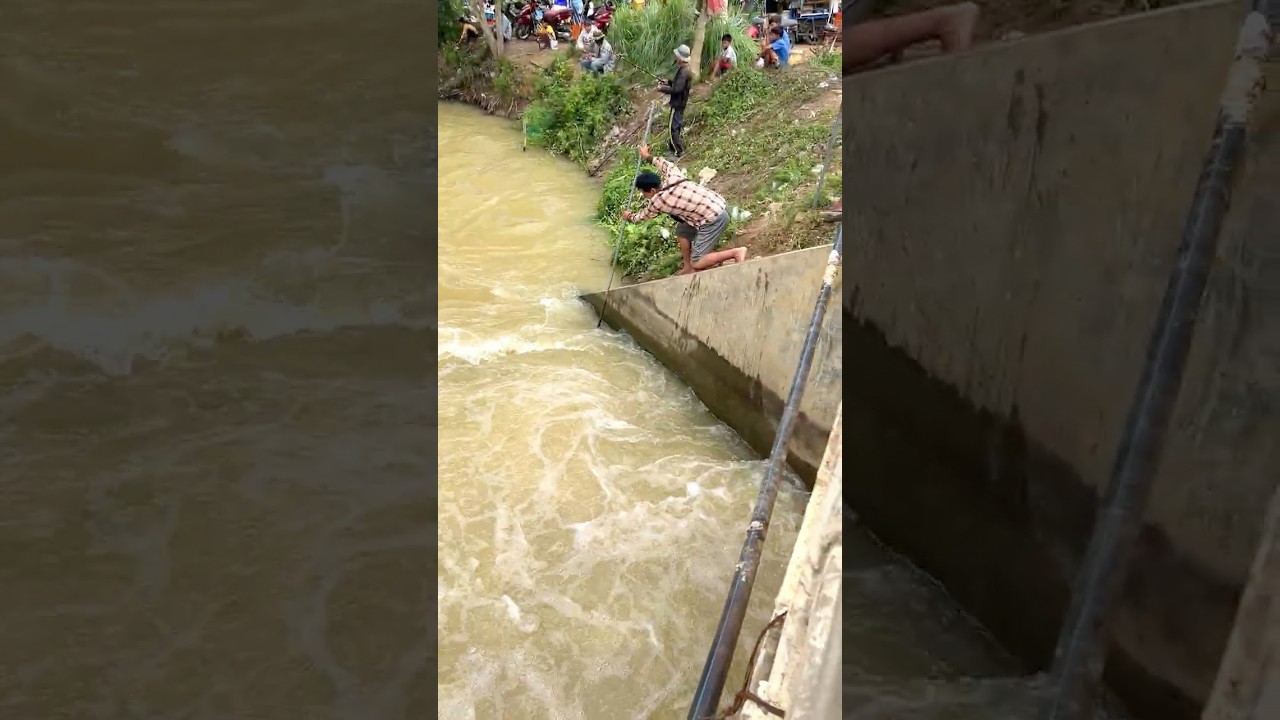 Real Life 100% Net Fishing In River At The Countryside (Part 1255) 