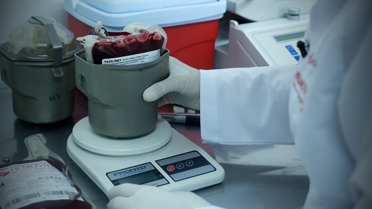 Banco de Sangre para Perros - TvAgro por Juan Gonzalo Angel