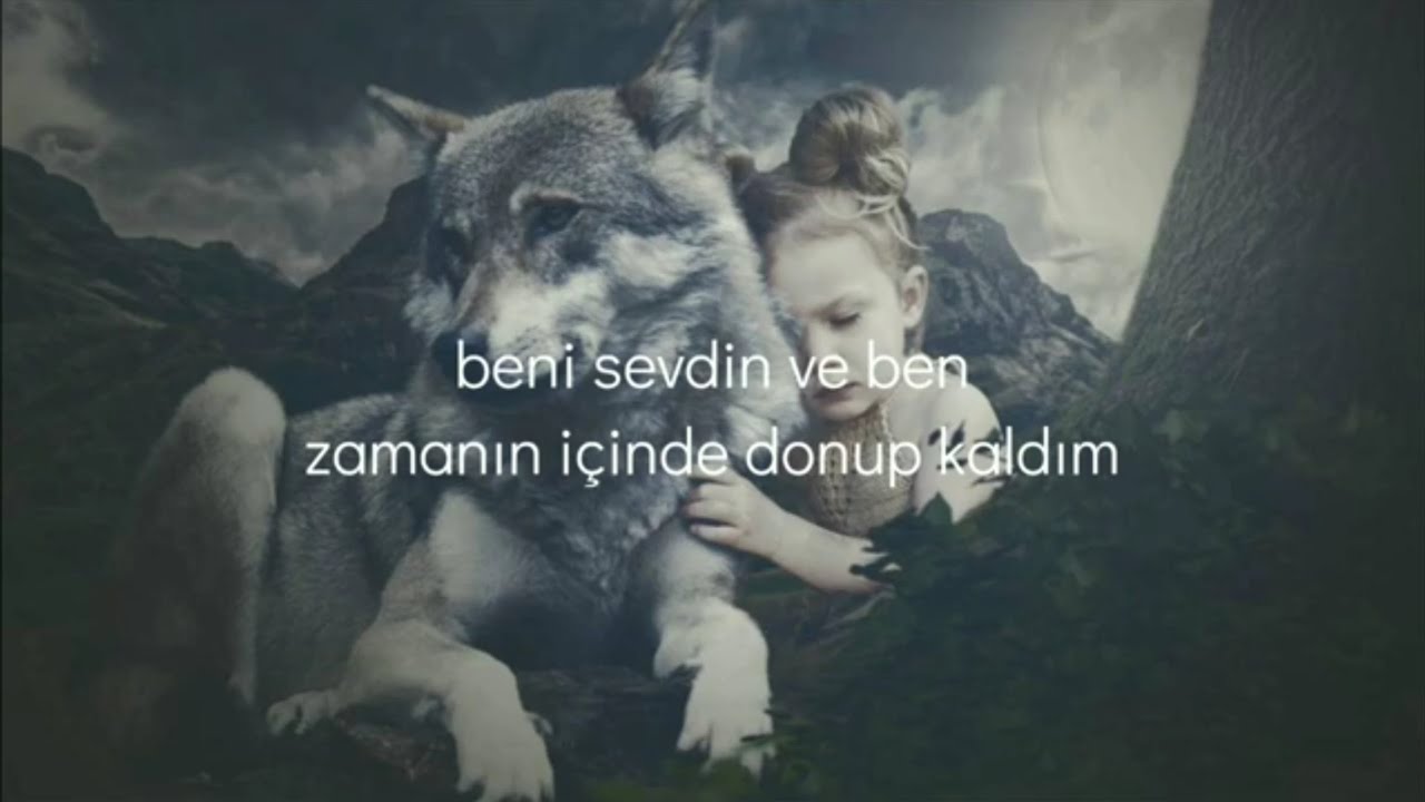 David Guetta - She Wolf (Türkçe Çeviri) ft. Sia