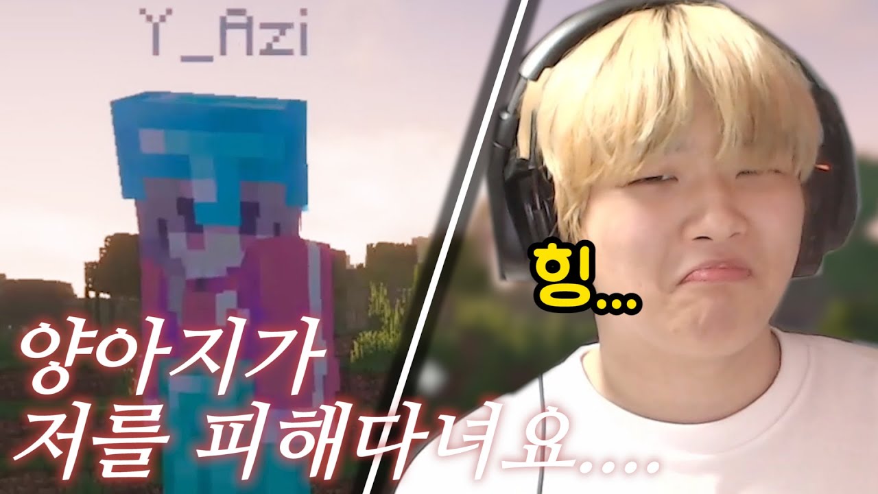 양아지가 저를 피해다녀요...