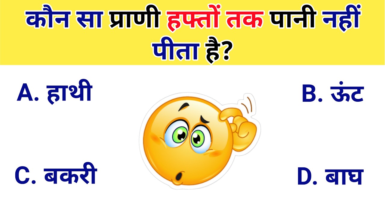 GK Questions in Hindi || Most important GK Questions || GK Quiz || Gk challenge #gk #gkquestion