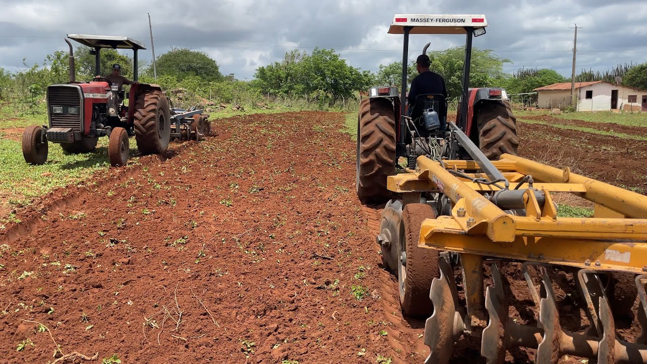 Choveu bem no sítio Muquém,encontrei dois tratores MF275 cortando terra por lá