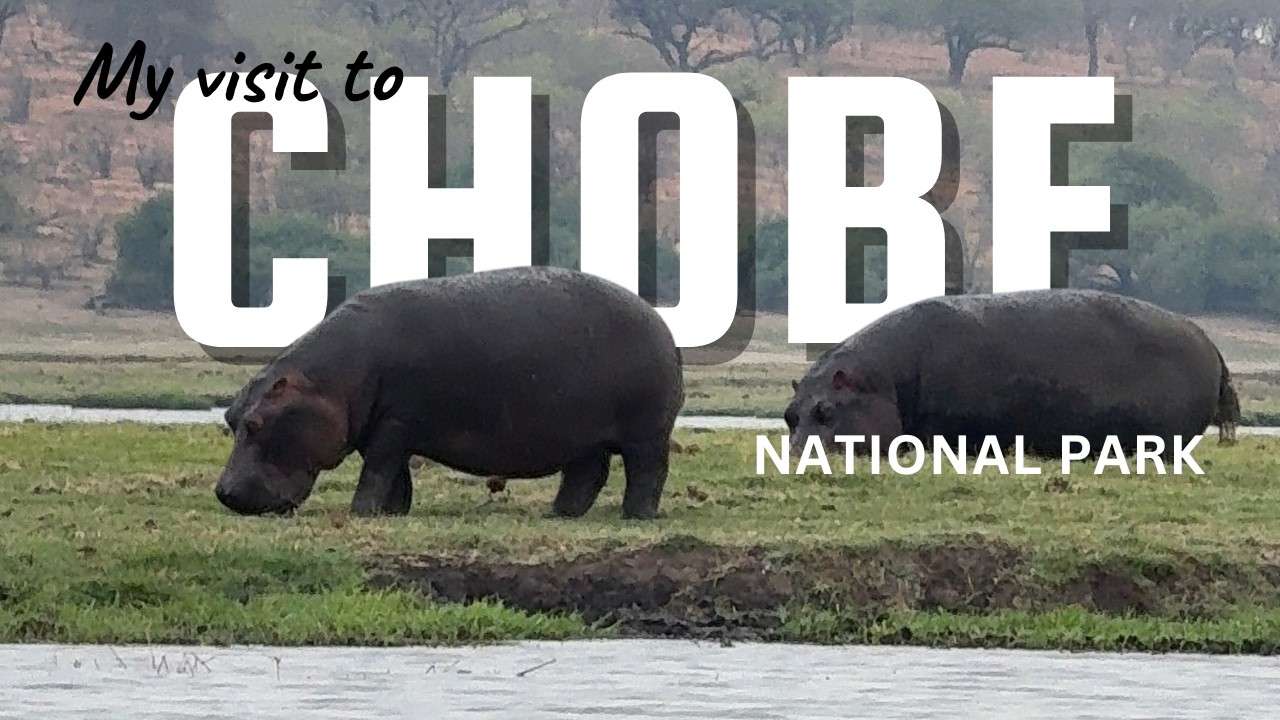 A rainy day during dry season left me speechless | Chobe National Park Botswana