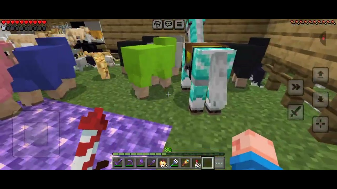 MINECRAFT GÜN 1 