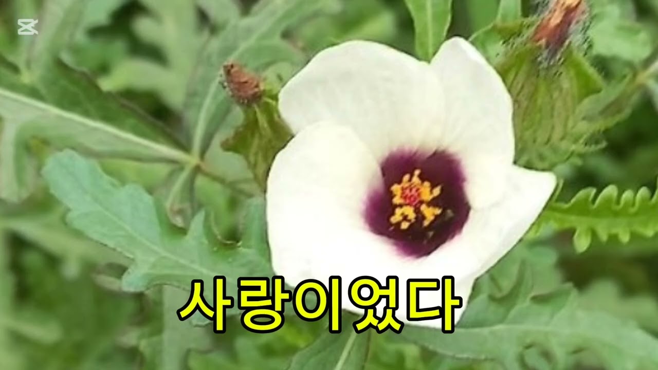 사랑도, 기다림도, 그리움도  시간 속에 조용히 흘러갑니다.  