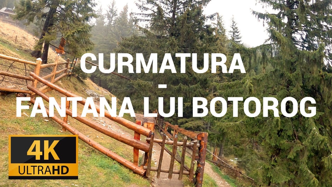 4K | Cabana Curmatura - Fantana lui Botorog