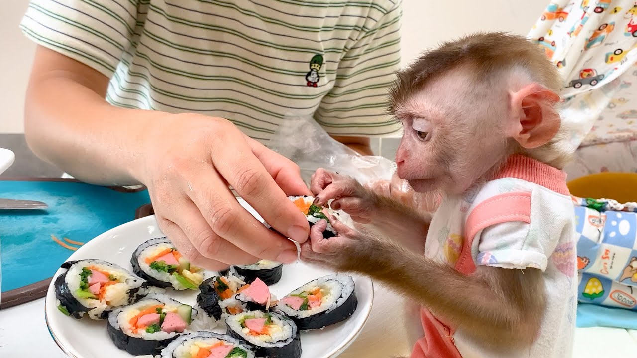 Monkey Puka doesn't like Kimbap made by Mom
