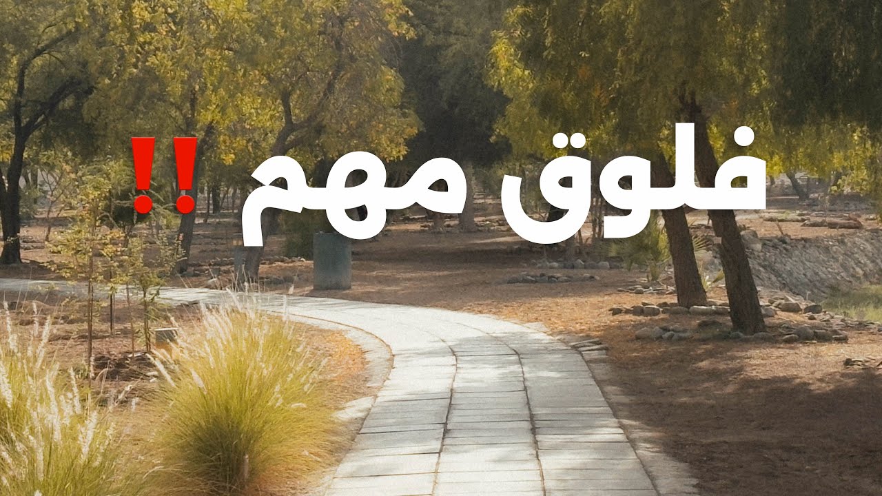 فلوق 6 | شهر بدون انستغرام ؟🫣