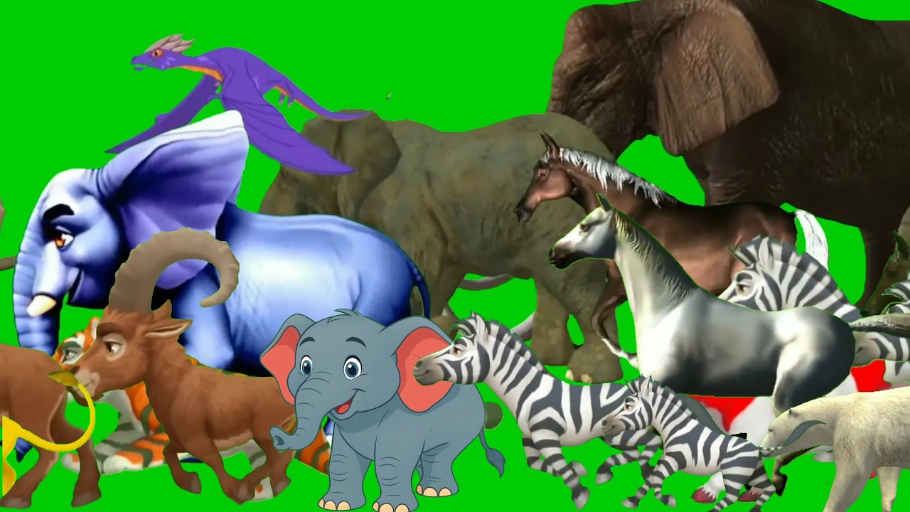 Animals stampede green screen | Cartoon animal stampede green screen | All animals running video