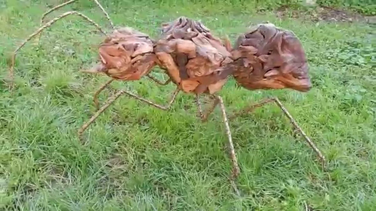 Sculpture Fourmi en bois flotté