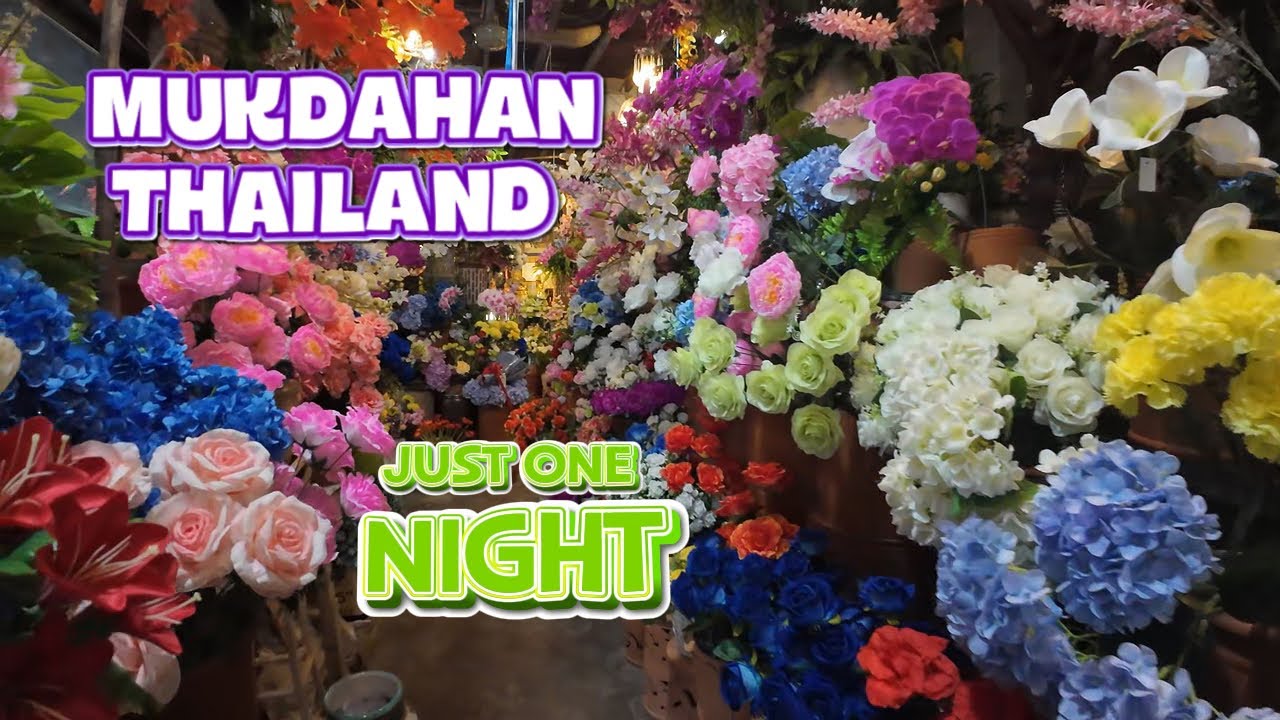 Off to Mukdahan, Shops, food and people.