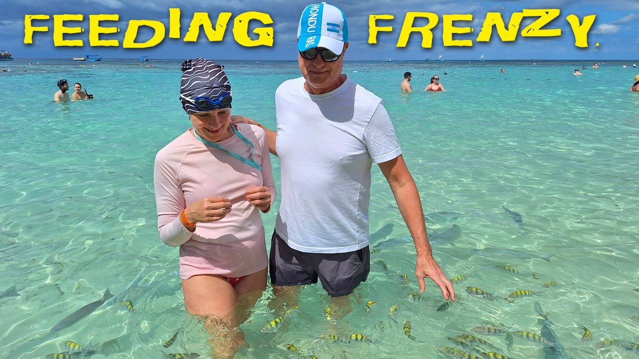 Fish at Your Feet | West Bay Beach, Roatan