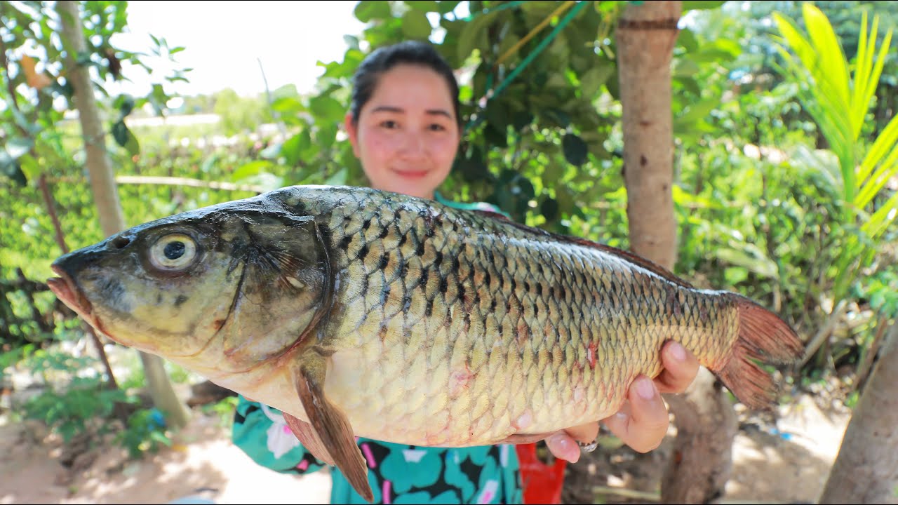 Yummy Crispy Fish Scale Cooking - Cooking With Sros