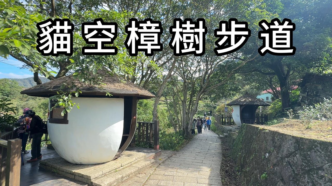 貓空樟樹步道全程平緩好走是個老少咸宜的步道，適合家族輕鬆踏青的好地方。