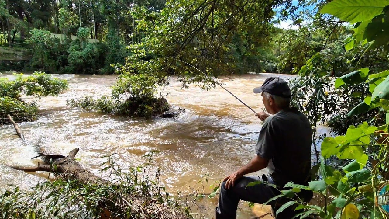Rio Muito Forte e a Vara de Bambu no Limite! Pescaria Raiz
