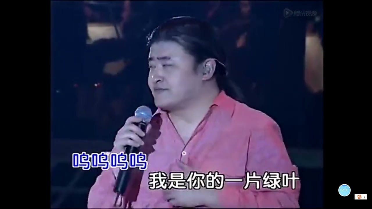 刘欢《绿叶对根的情谊》