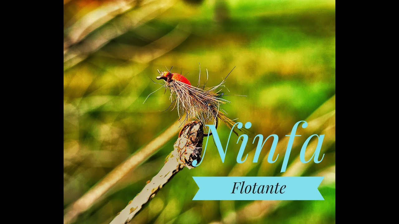 Montaje de Ninfa Flotante paso a paso