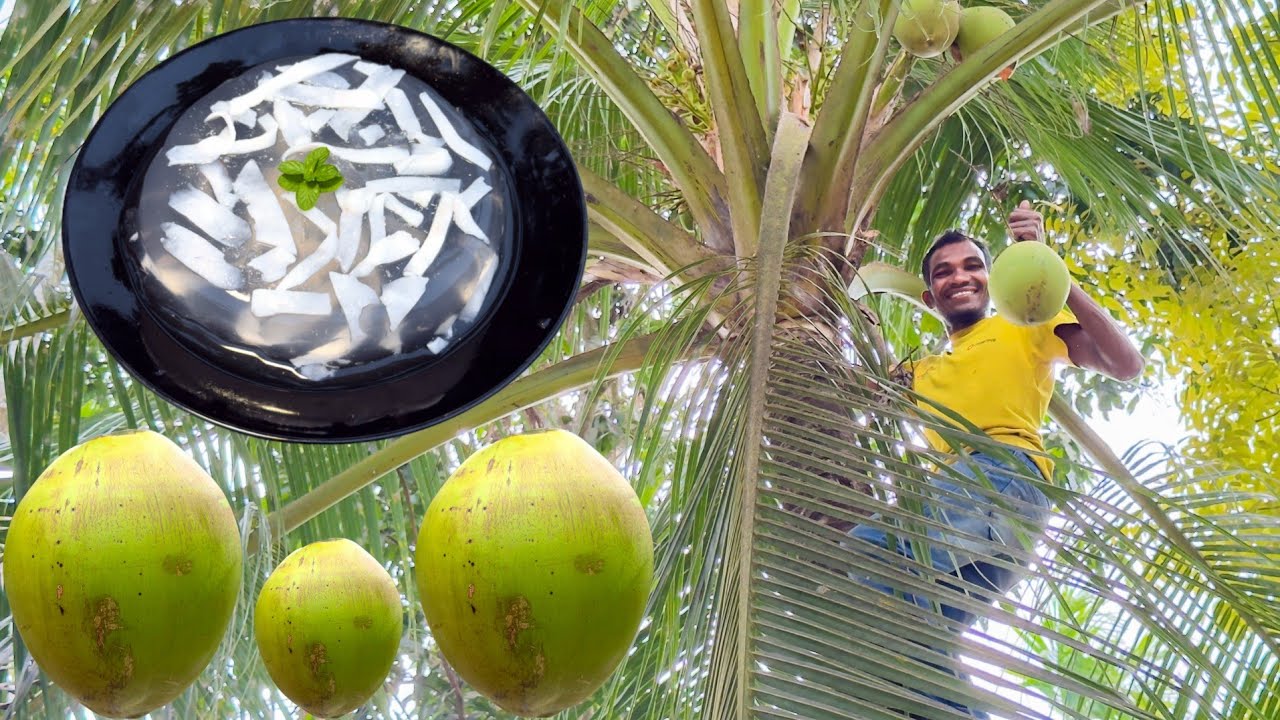 ঠান্ডা ঠান্ডা ডাবের পুডিং | Chilled Coconut Pudding | Robin The Storyteller