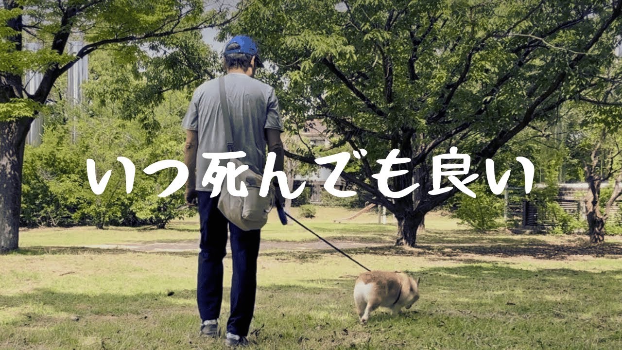 親子の絆がつなぐ旅路｜再会の記録
