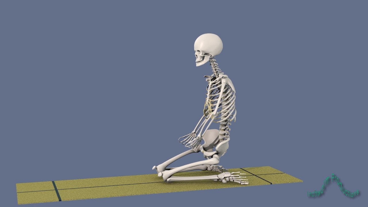 Yoga Poses: Virasana Hero’s Pose