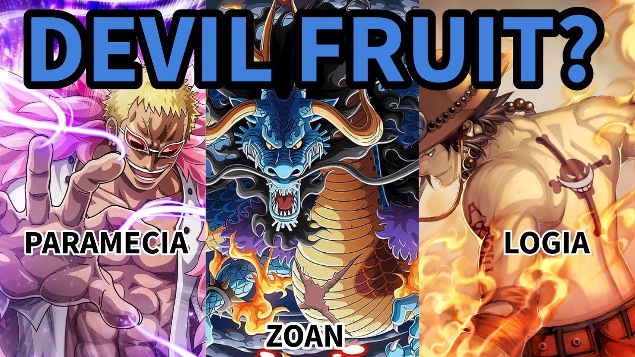 What is a Devil Fruit - One Piece
