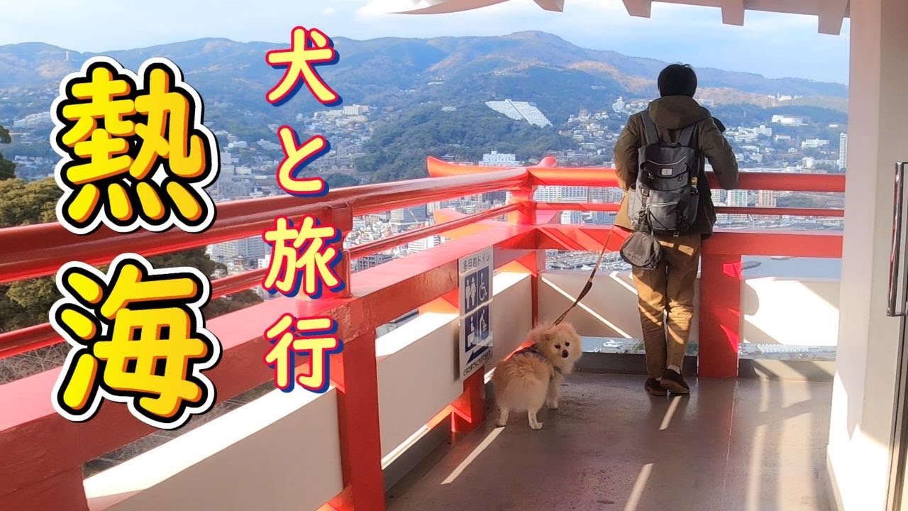 【デカポメの旅日記】ポメのムツオが今回訪れたのは熱海。意外とドッグフレンドリーな真冬の熱海、来宮神社に熱海城とムツオが駆け回る。【熱海編】