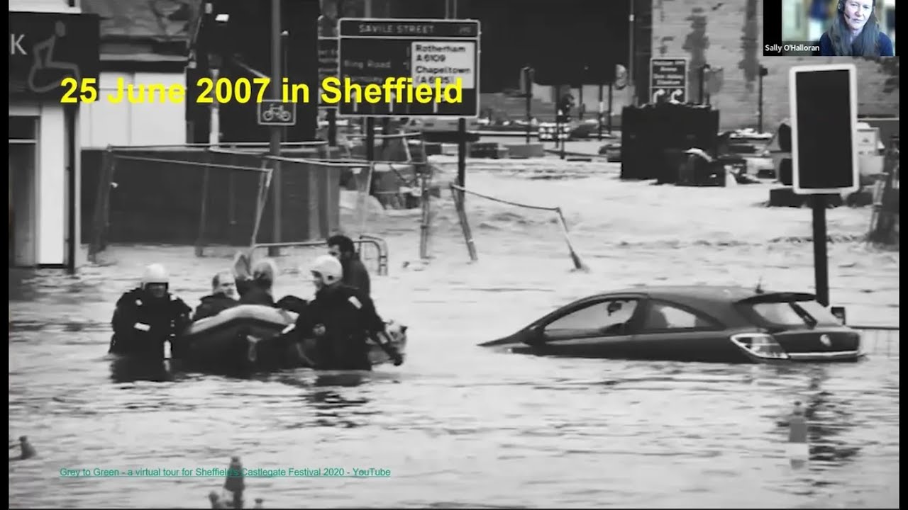 ILI CPD Webinar | Turning the grey to green: plant driven design in Sheffield by Sally O'Halloran