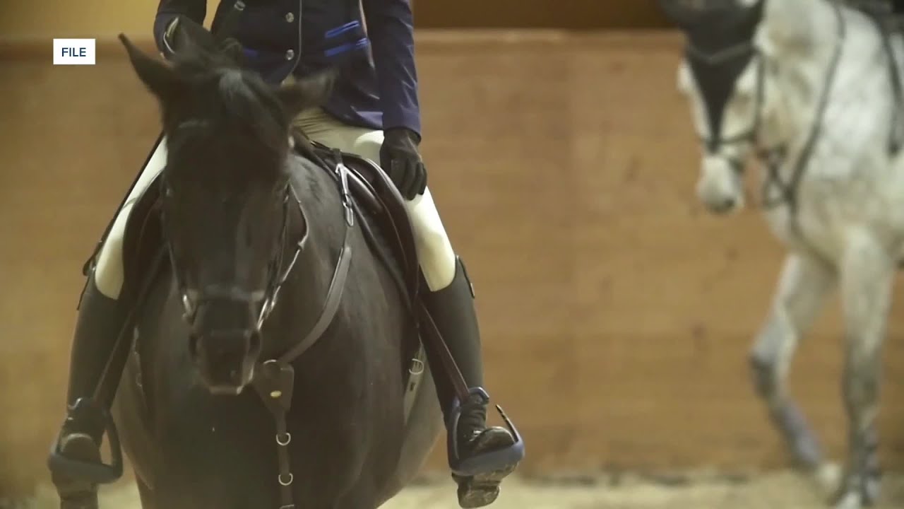 EHV OUTBREAK: Equine world on hold as disease hits Oklahoma
