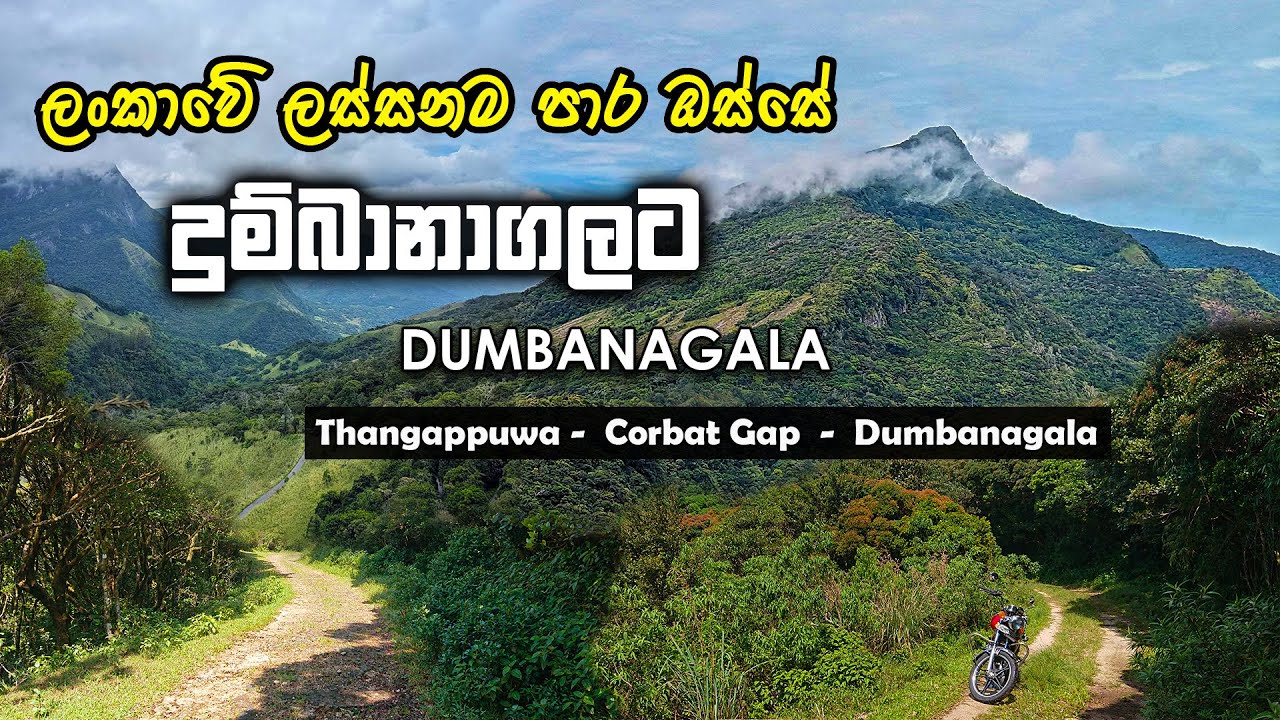 Dumbanagala Mountain | මීදුමෙන් බර දුම්බානාගල | Thangappuwa - Corbett'sGap - Dumbanagala 