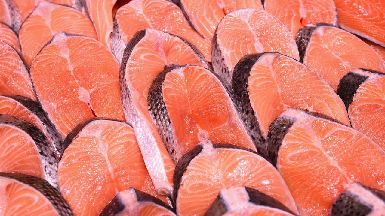 Como o salmão é 'tingido' de cor-de-rosa no cativeiro