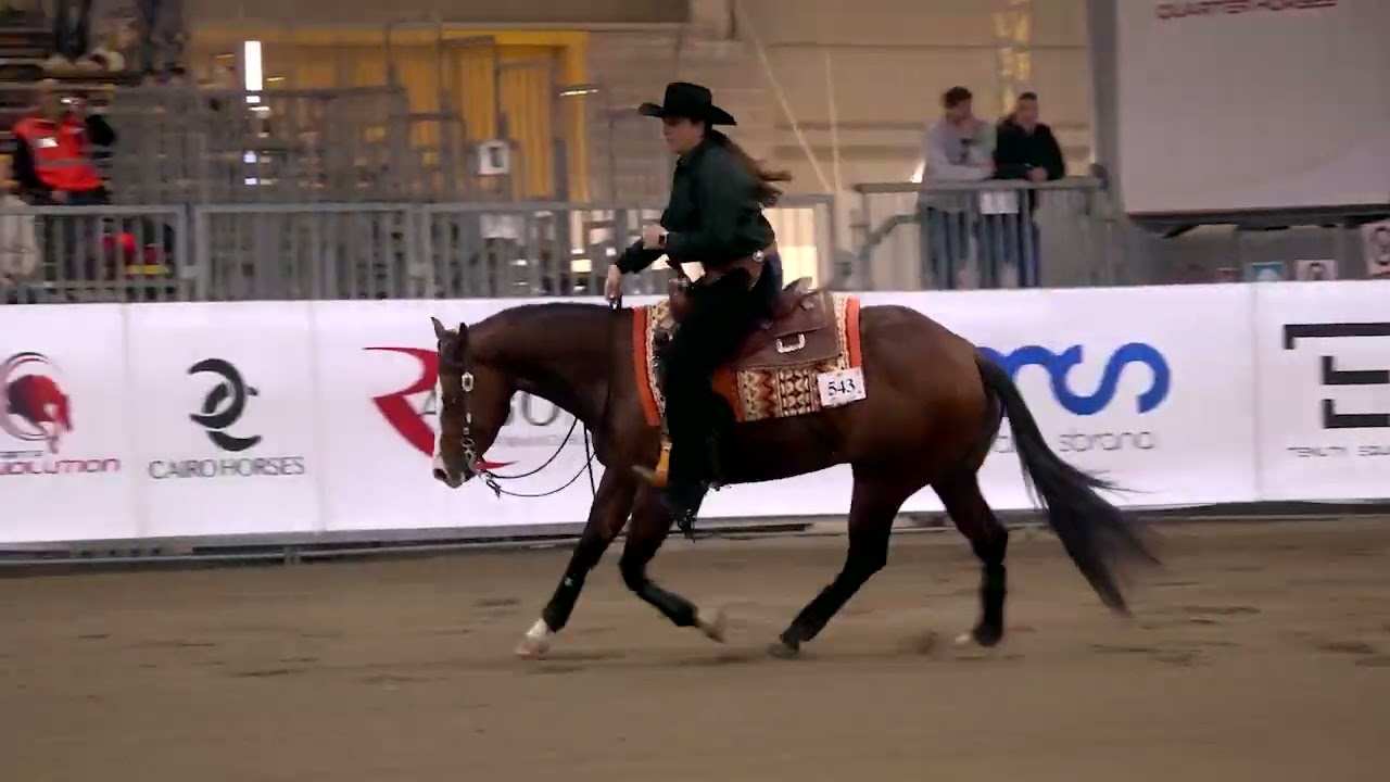 Futurity 2025 - CARMELA NATALE & GUNS R FOR WIMPY MR score 215,5